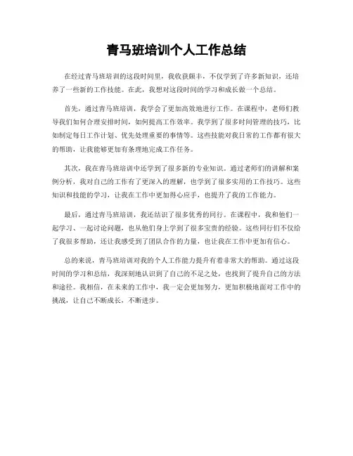 青马班培训个人工作总结