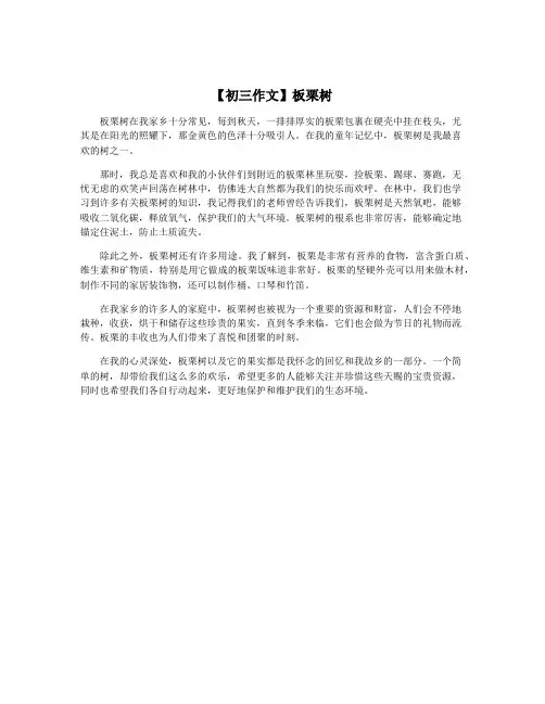 【初三作文】板栗树