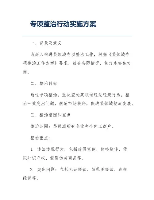 专项整治行动实施方案