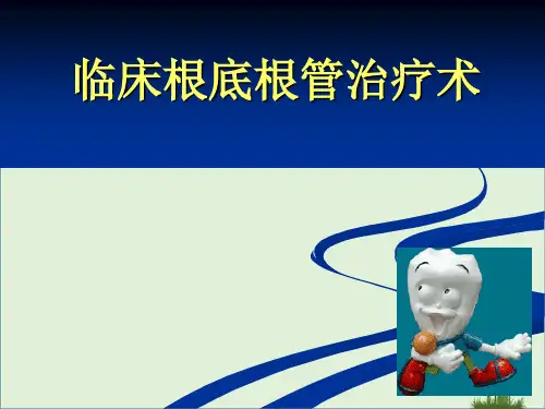 临床基础根管治疗术讲解