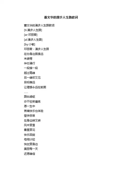 董文华的漫步人生路歌词