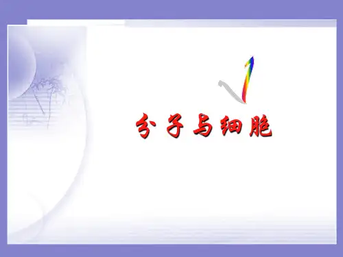 高一生物 物质跨膜运输的方式