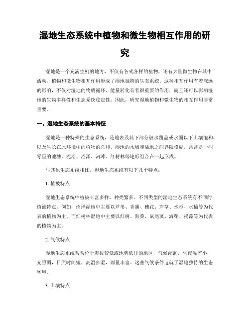湿地生态系统中植物和微生物相互作用的研究