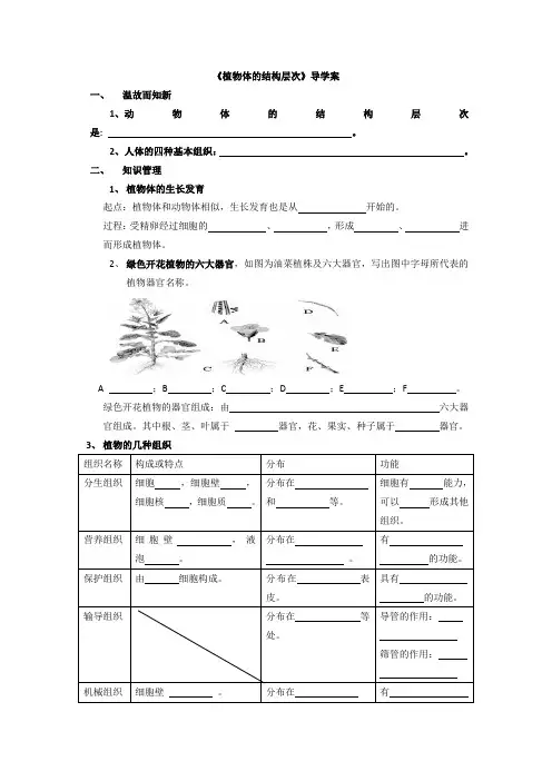 导学案---植物体的结构层次