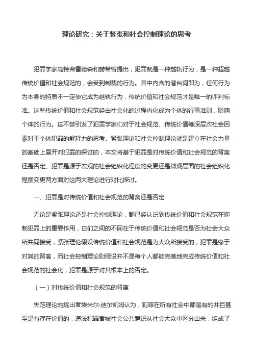 理论研究：关于紧张和社会控制理论的思考