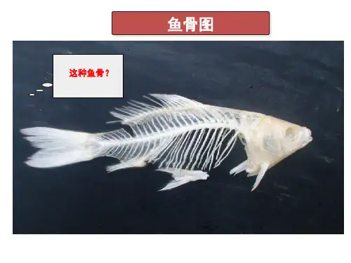 鱼骨图分析法培训ppt课件.ppt