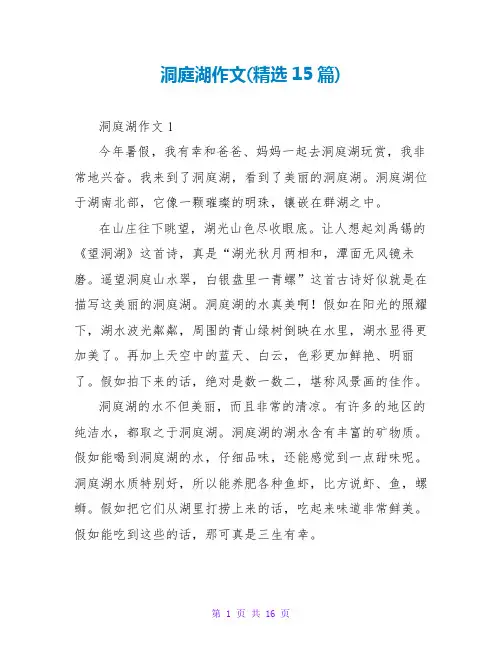 洞庭湖作文(精选15篇)