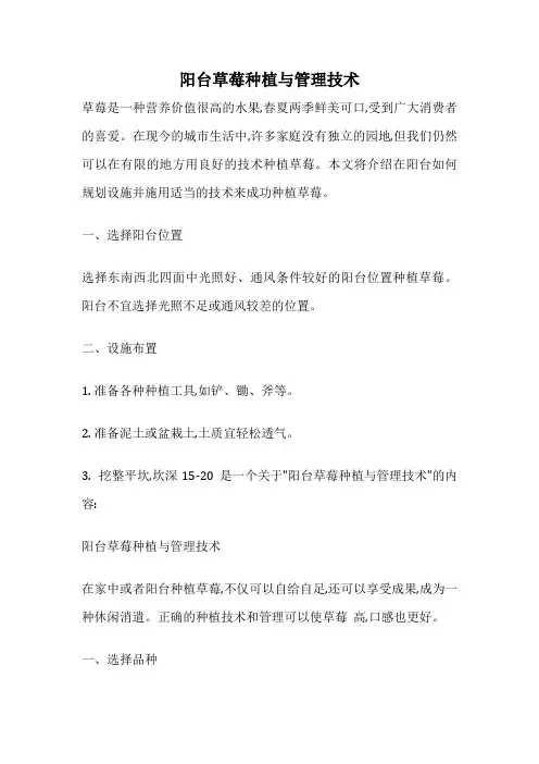阳台草莓种植与管理技术