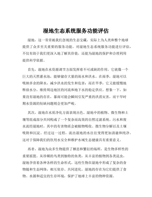 湿地生态系统服务功能评估