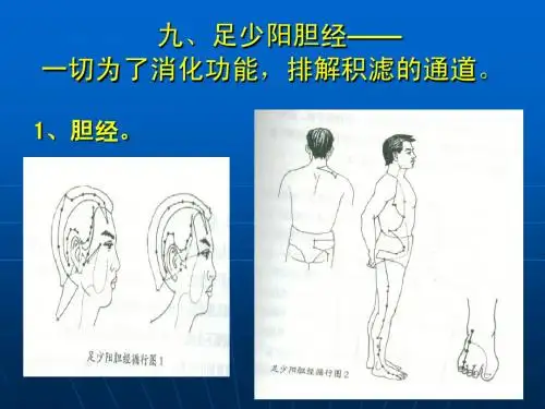 足少阳胆经