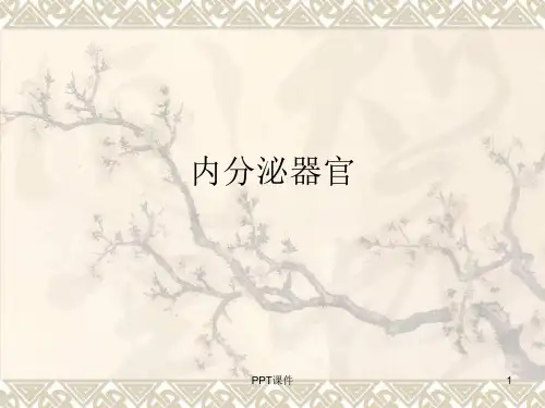 鱼类组织胚胎学--内分泌器官  ppt课件