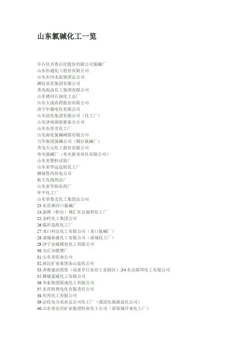 山东氯碱化工一览 精品