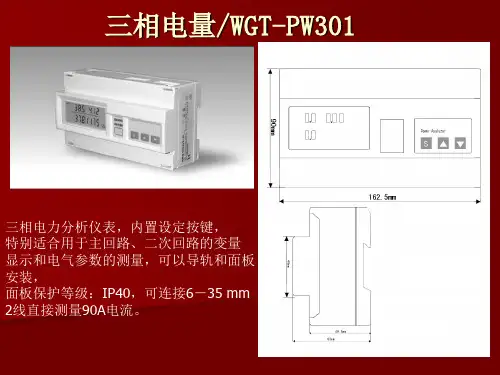 三相电量检测仪要点