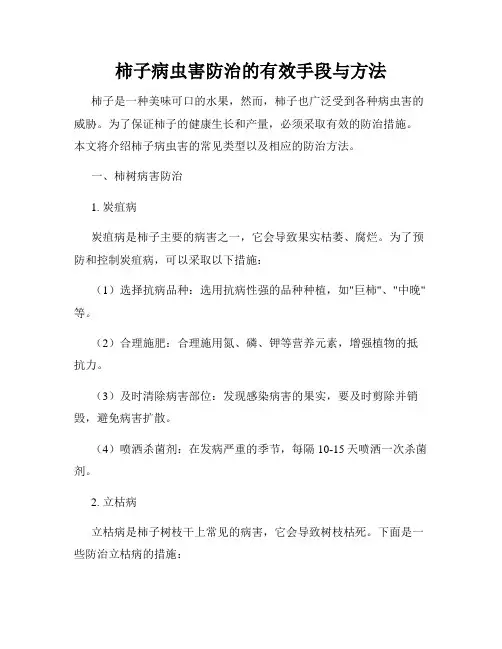 柿子病虫害防治的有效手段与方法
