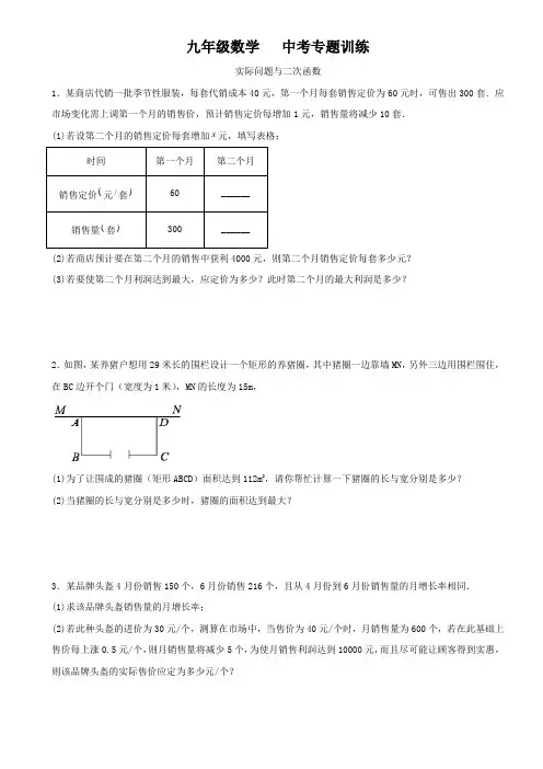 九年级数学   中考专题训练    实际问题与二次函数