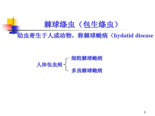 细粒棘球绦虫PPT课件