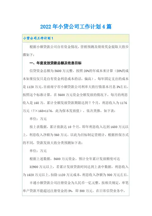 2022年小贷公司工作计划4篇