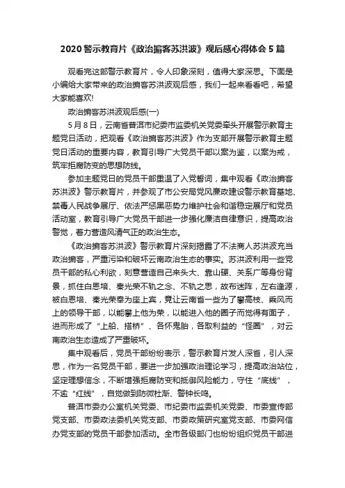 2020警示教育片《政治掮客苏洪波》观后感心得体会5篇