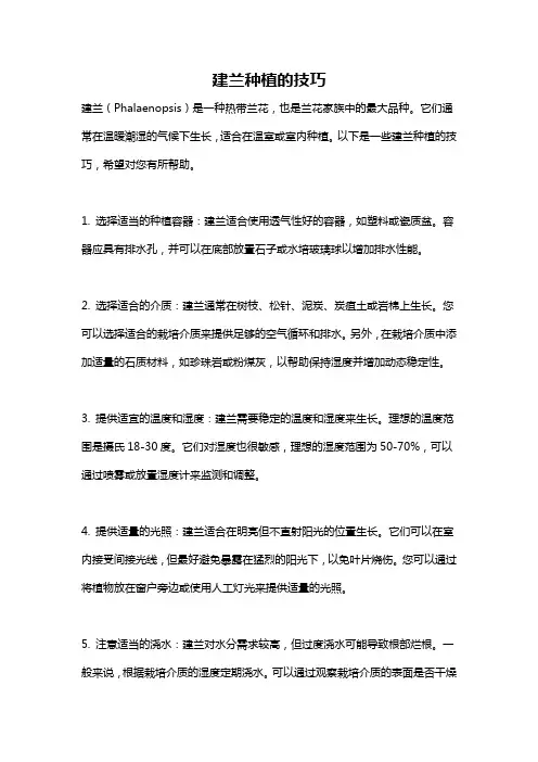 建兰种植的技巧