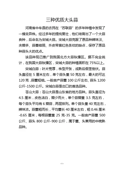三种优质大头蒜