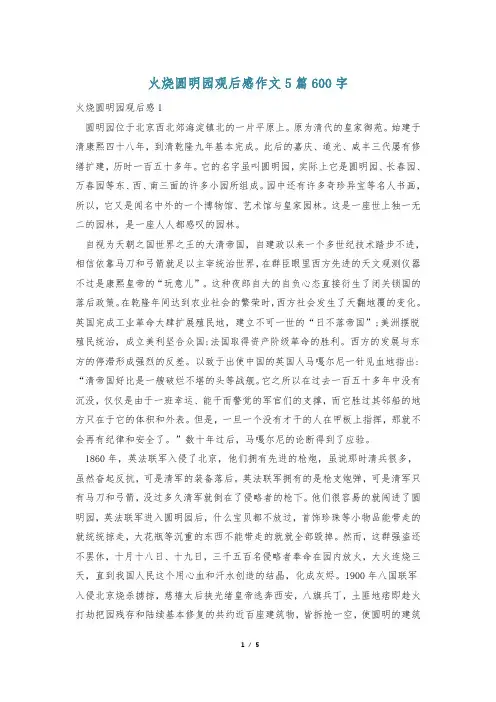 火烧圆明园观后感作文5篇600字