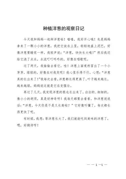 种植洋葱的观察日记