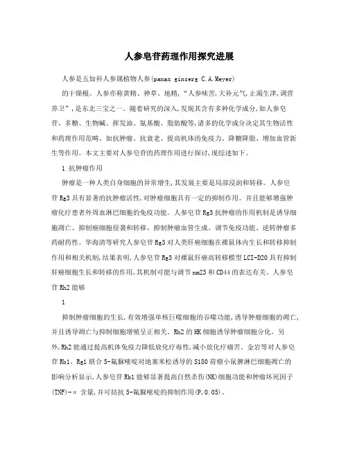 人参皂苷药理作用探究进展