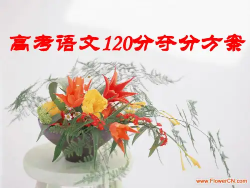 高三语文考前指导
