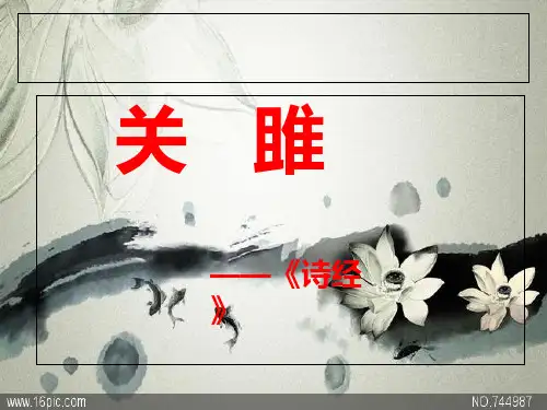 《关雎》  ppt课件全面版