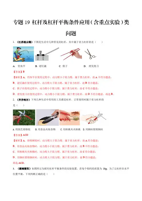 八年级物理下册专题19杠杆及杠杆平衡条件应用(含重点实验)类问题(解析版)