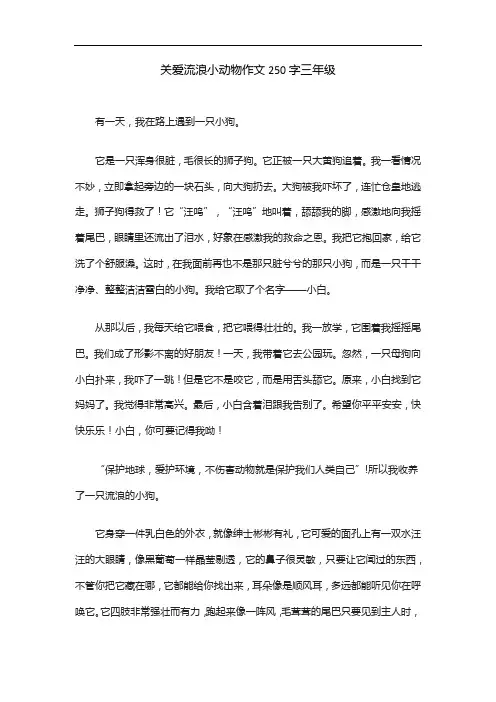 关爱流浪小动物作文250字三年级