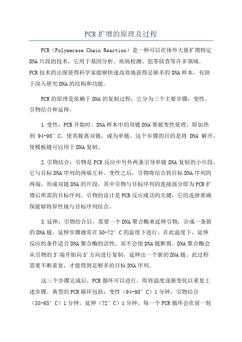 PCR扩增的原理及过程