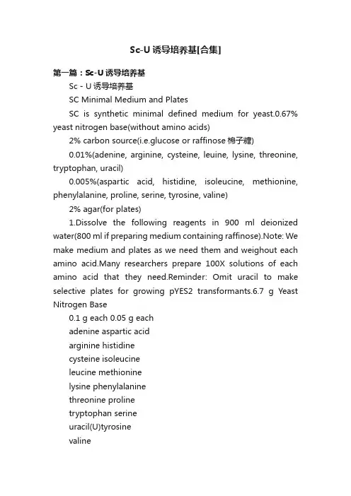 Sc-U诱导培养基[合集]