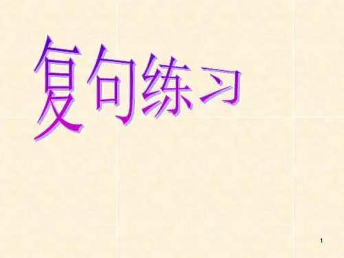 复句类型练习PPT课件