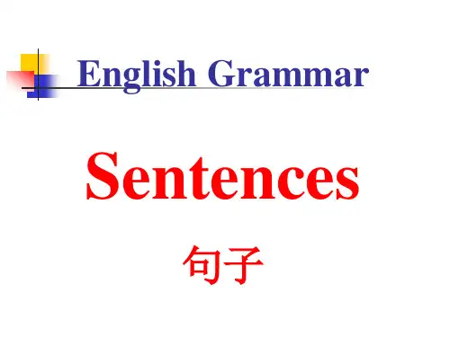 初中英语句子种类与类型(共28张PPT)