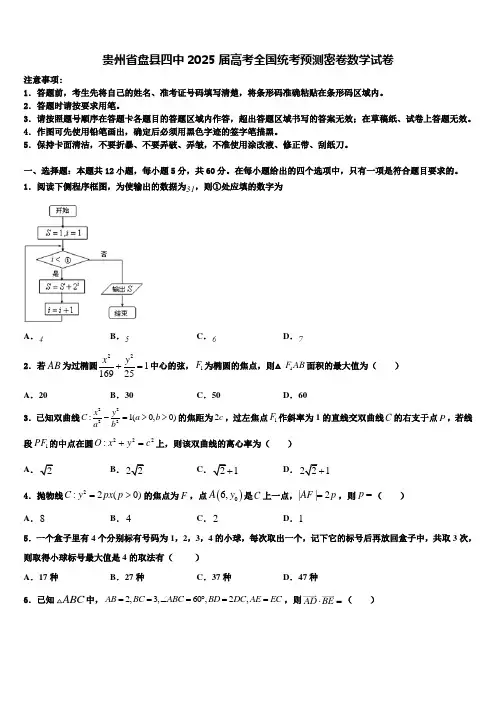 贵州省盘县四中2025届高考全国统考预测密卷数学试卷含解析