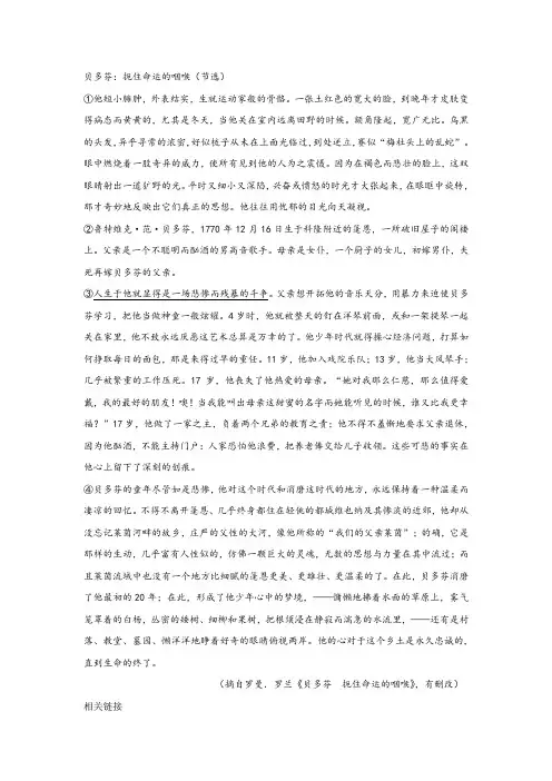 《贝多芬：扼住命运的咽喉(节选)》