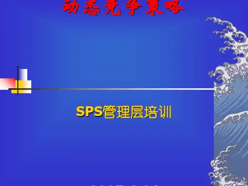 动态竞争策略
