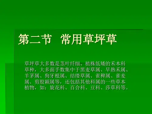 第二节  常用草坪草