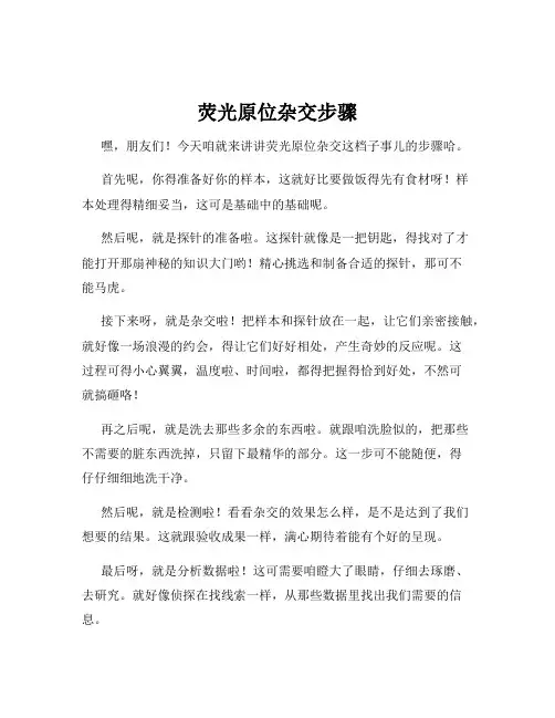 荧光原位杂交步骤