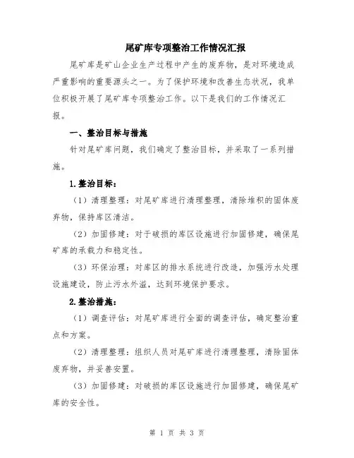 尾矿库专项整治工作情况汇报