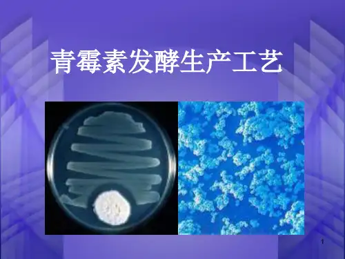青霉素生产工艺(PPT37页)全