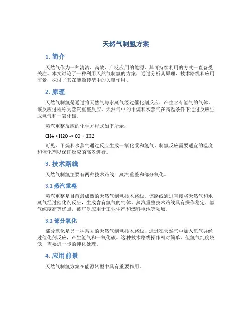 天然气制氢方案