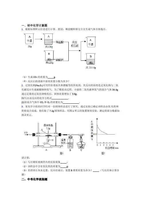 中考化学专题训练---计算题、工业流程、实验题题图的综合题分类(13)