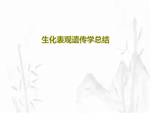 生化表观遗传学总结共60页文档