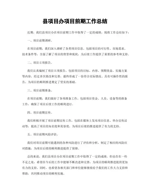 县项目办项目前期工作总结