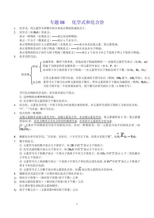 2024年中考化学专题复习——专题08  化学式和化合价(全国通用)(解析版)
