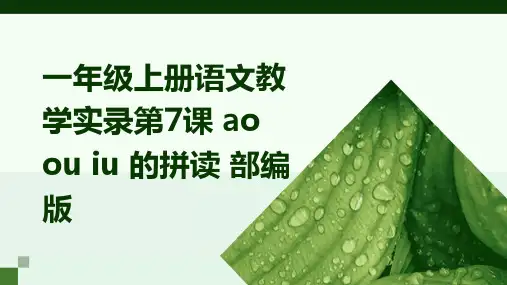 一年级上册语文教学实录第7课+ao+ou+iu+的拼读+部编版