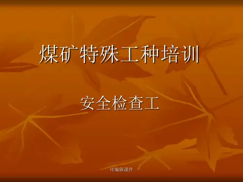 煤矿特殊工种培训安全检查工PPT课件