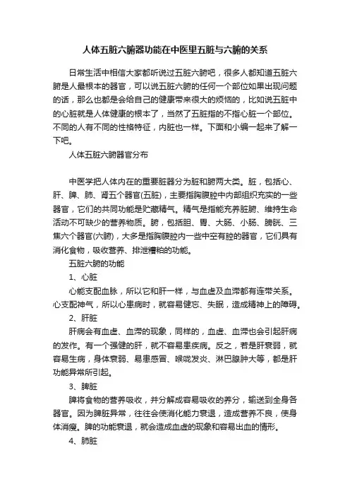 人体五脏六腑器功能在中医里五脏与六腑的关系